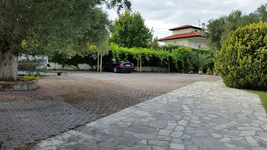 Amparoudes Daire Kriopigi Dış mekan fotoğraf