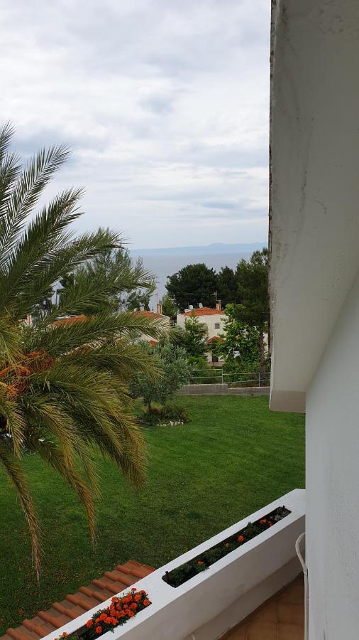 Amparoudes Daire Kriopigi Dış mekan fotoğraf
