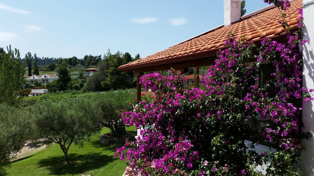 Amparoudes Daire Kriopigi Dış mekan fotoğraf