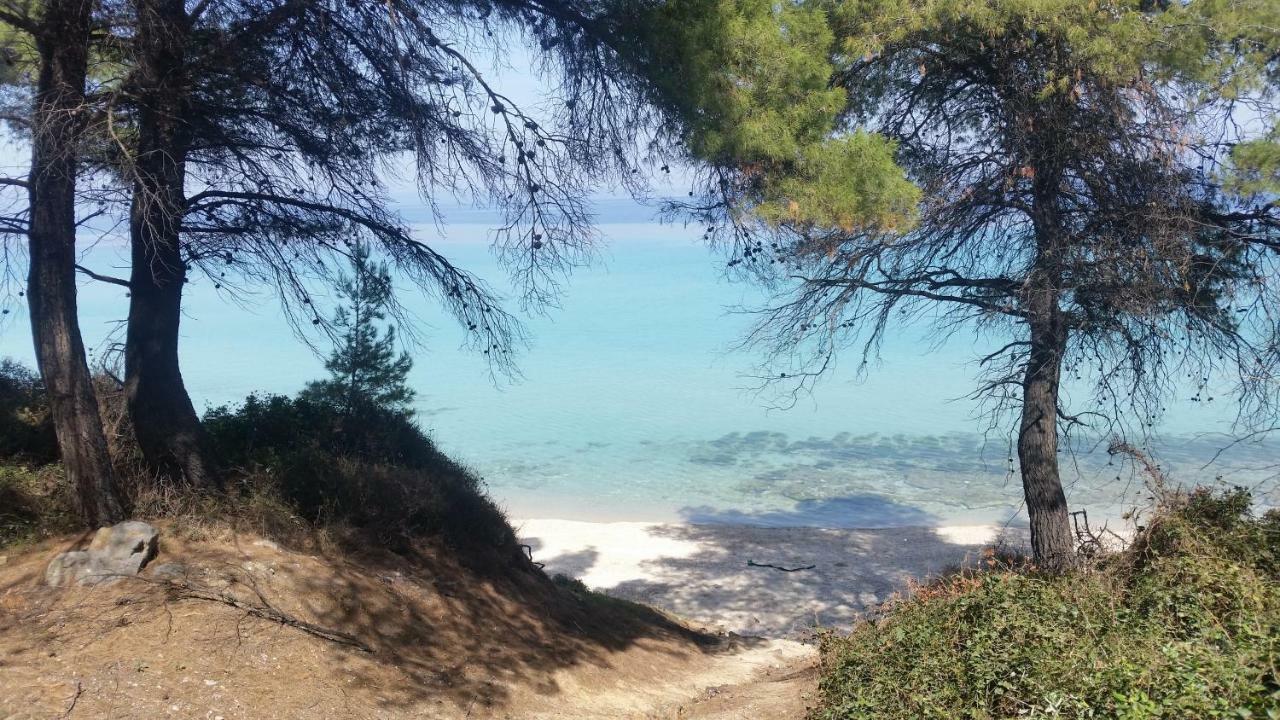 Amparoudes Daire Kriopigi Dış mekan fotoğraf